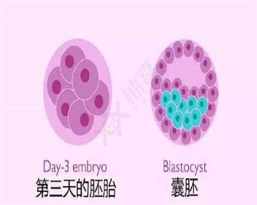 38岁如何有一个好的精子和卵子？,专业代孕咨询